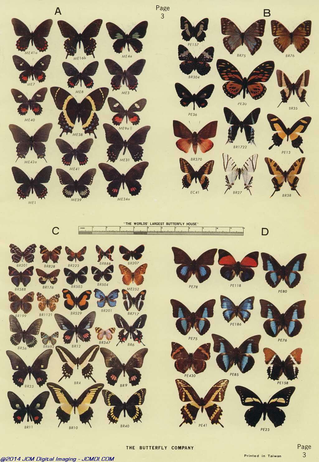 The Butterfly Company (NY) 18 page catalog 1976